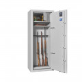 WT 250-07 Gun safe